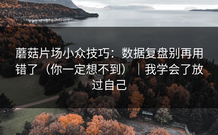 蘑菇片场小众技巧：数据复盘别再用错了（你一定想不到）｜我学会了放过自己
