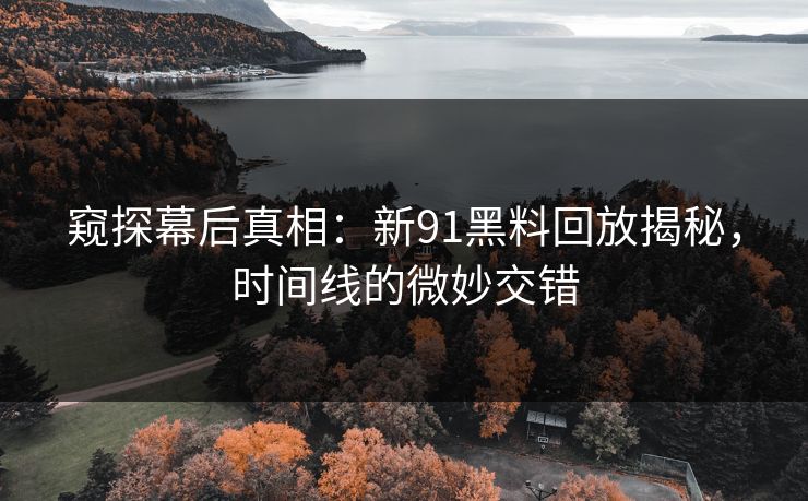 窥探幕后真相：新91黑料回放揭秘，时间线的微妙交错