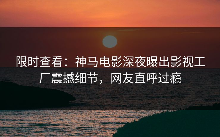 限时查看：神马电影深夜曝出影视工厂震撼细节，网友直呼过瘾