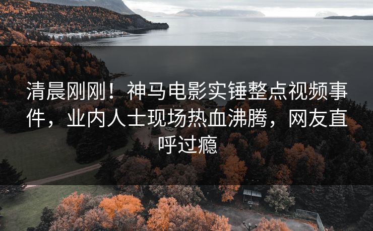 清晨刚刚！神马电影实锤整点视频事件，业内人士现场热血沸腾，网友直呼过瘾