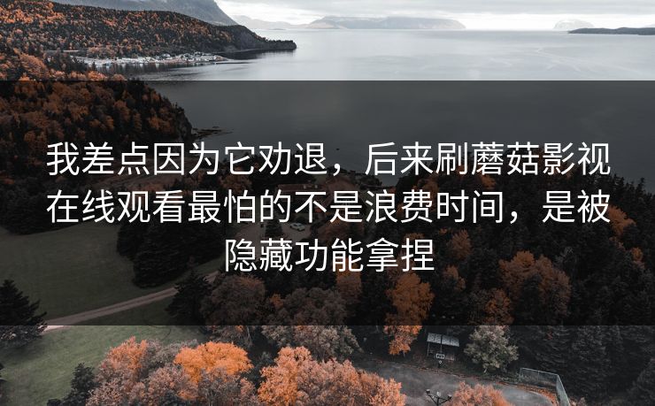 我差点因为它劝退，后来刷蘑菇影视在线观看最怕的不是浪费时间，是被隐藏功能拿捏
